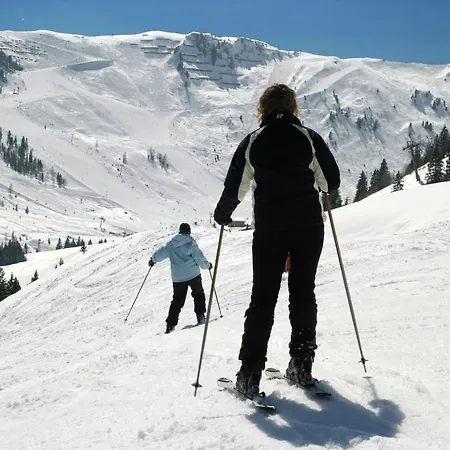 In Tyrol Near The Appartement *